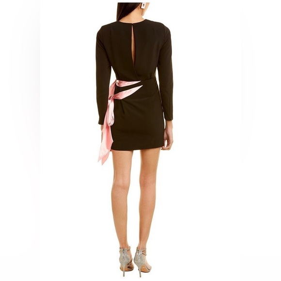 FINAL  OFFER Ronny Kobo Freya Mini Dress. NWOT’s. Size S. 90% off. No discounts - Picture 4 of 12